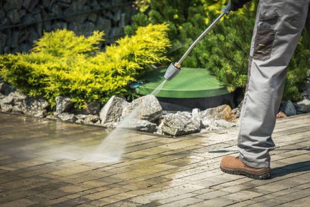Animal Enclosure Cleaning in Armonk, NY